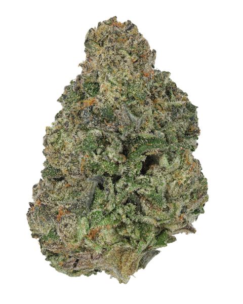 THCa Blueberry Pie Indoor Living Soil — 3.5g