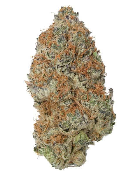 THCa Candy Shop Indoor Living Soil — 3.5g