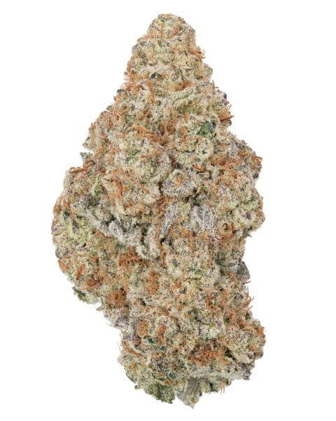 THCa Dante's Inferno Indoor Living Soil — 3.5g