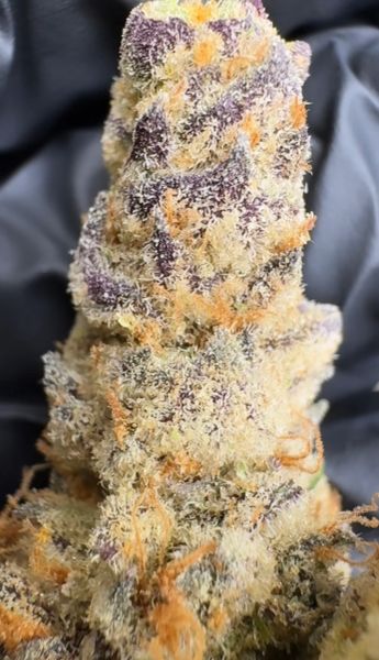 Modified Grapes - Living Soil Exotic THCa Flower — 3_5_g