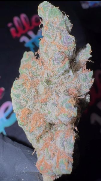 SuperBoof - Living Soil Exotic THCa Flower — 14_g