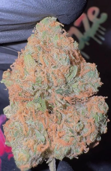 Lemon Skunk - Indoor Living Soil Craft Batch Exotic THCa Flower — 3_5_g