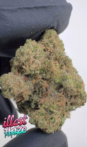 Durban Poison - Living Soil Exotic THCa Flower — 3.5g