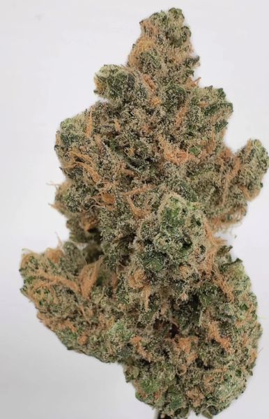 Blue Dream Indoor Living Soil Organic — 1_oz