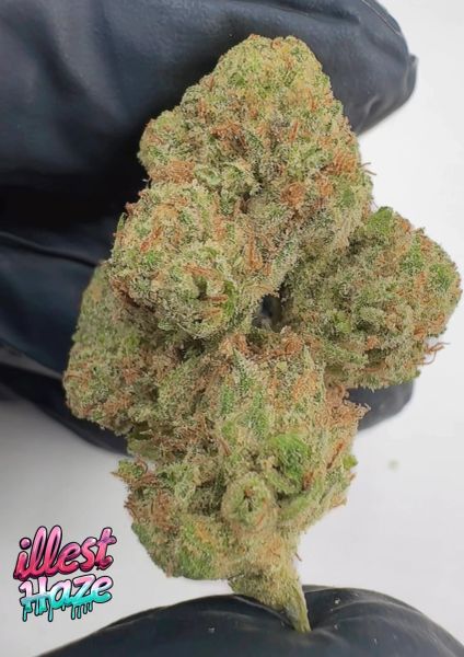 Sour Pie - Craft Batch Living Soil THCa Flower — 14g