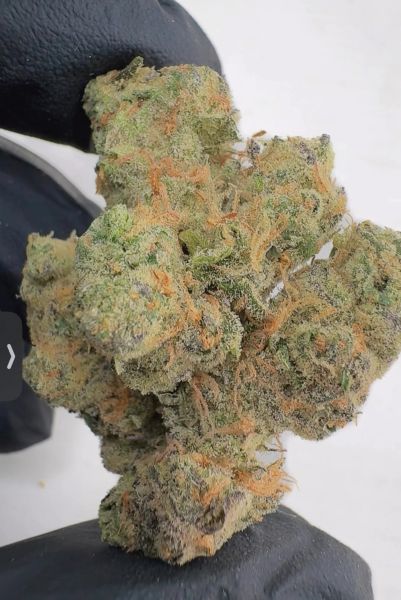 Sour Diesel – Craft Batch Living Soil THCa Flower — 14_g