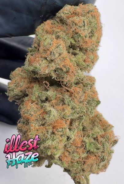 Jack Herer - Living Soil Exotic THCa Flower — 3.5G