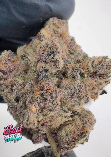 Gary Payton x Runtz - Living Soil Exotic THCa Flower — 3.5g