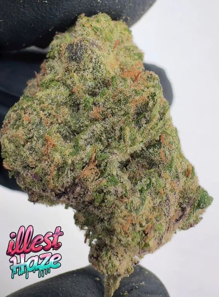 Donny Burger - Living Soil Exotic THCa Flower — 3.5g