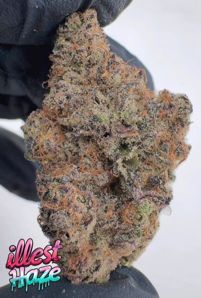 Lizard Breath - Living Soil Exotic THCa Flower — 14_g