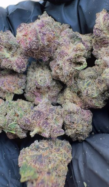 Lizard Breath - THCa SMALLS — 1_oz