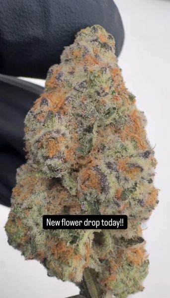 Hawaiian Snow - Living Soil Exotic THCa Flower — 14g