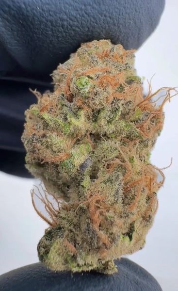 Lucky Charms – Living Soil THCa Hemp Flowe — 14g