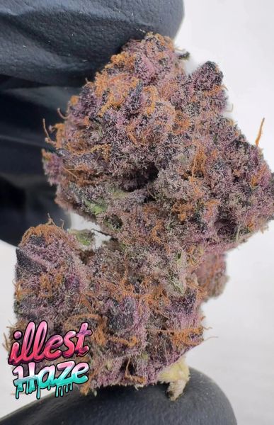 TROP (LIMITED) – Craft Batch Living Soil THCa Flower — 28_g