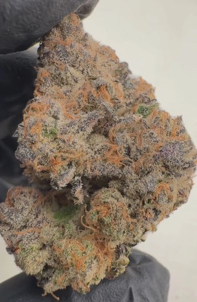 Mod Grapes – Craft Batch Living Soil THCa Flower — 1oz