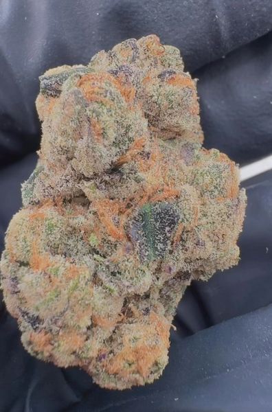 Dark Rainbows – Craft Batch Living Soil THCa Flower — 28g