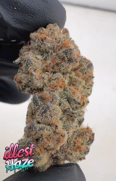 Smorez – Craft Batch Living Soil THCa Flower — 3.5g