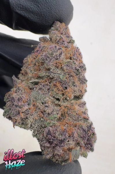 Crystal Runtz – Craft Batch Living Soil THCa Flower — 28g