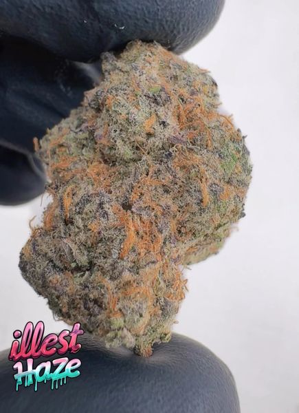 Sunset Sherb– Craft Batch Living Soil THCa Flower — 3_5_g