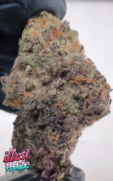 Larry OG – Craft Batch Living Soil THCa Flower — 3.5g