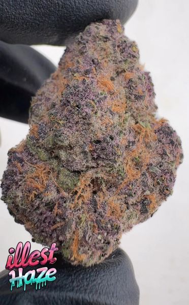 Trop Cherry – Craft Batch Living Soil THCa Flower — 28g