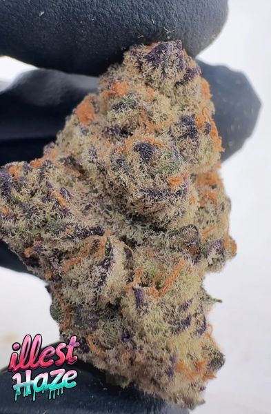 Unicorn Candy – Craft Batch Living Soil THCa Flower — 3.5g