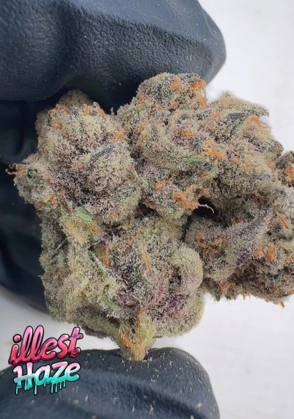 Gruntz 2.0 – Craft Batch Living Soil THCa Flower — 3.5g