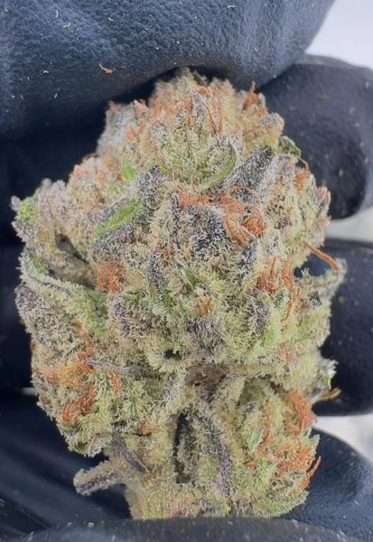 BULK Oreoz - Living Soil THCa Flower — 1_lb
