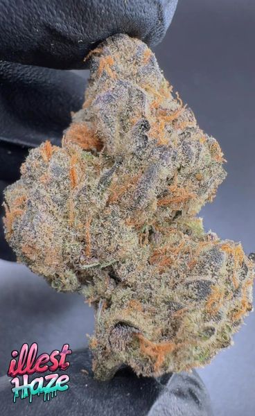 UpSideDown Pineapplez – Craft Batch Living Soil THCa Flower — 1OZ