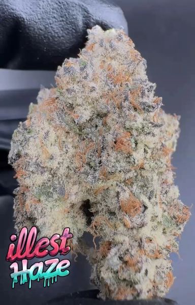 Oreoz (MaxYields Breeder Cut) – Craft Batch Living Soil THCa Flower — 1oz