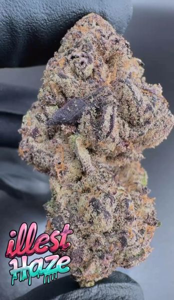 Black Trufflez – Craft Batch Living Soil THCa Flower — 1oz