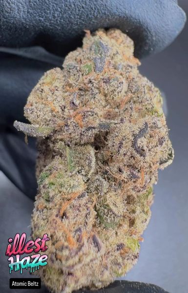 Atomic Belts – Craft Batch Living Soil THCa Flower — 28g