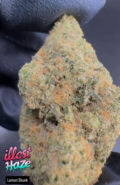 Lemon Skunk – Craft Batch Living Soil THCa Flower — 28g