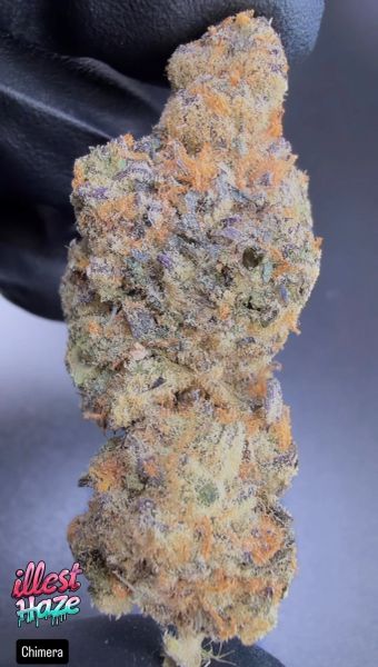Chimera – Craft Batch Living Soil THCa Flower — 28g