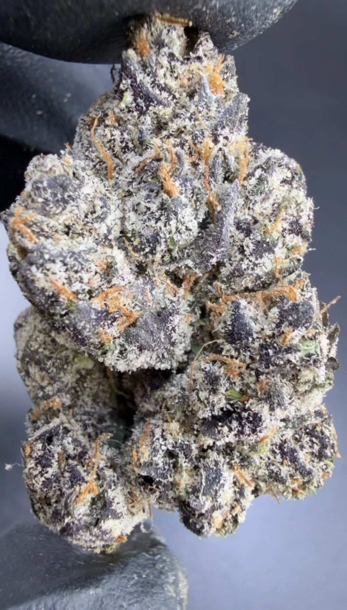 BULK Craft Batch Living Soil THCa Flower product photo 1