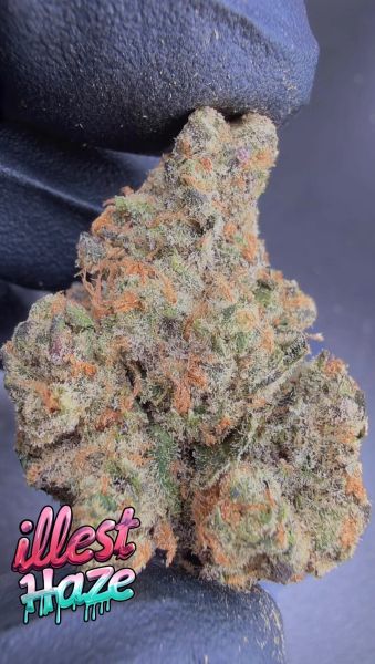Pineapple Banana Blizzard – Craft Batch Living Soil THCa Flower — 28g