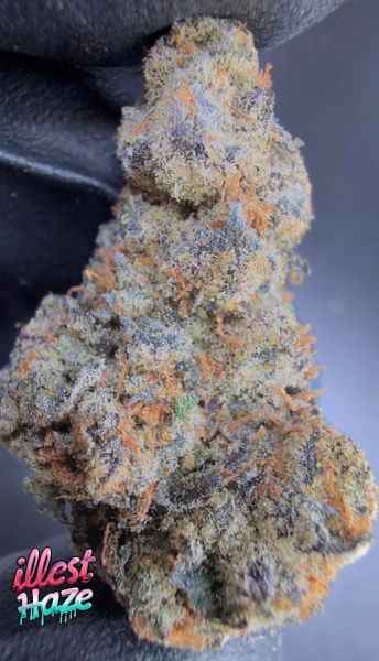 BlockBerry – Craft Batch Living Soil THCa Flower — 28g