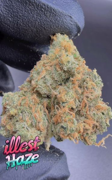 Malawi Gold – Micro Batch Living Soil THCa Flower — 3.5G