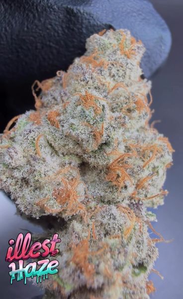 JoozeBerriez- Micro Batch Living Soil THCa Flower 7g — 1 lbs