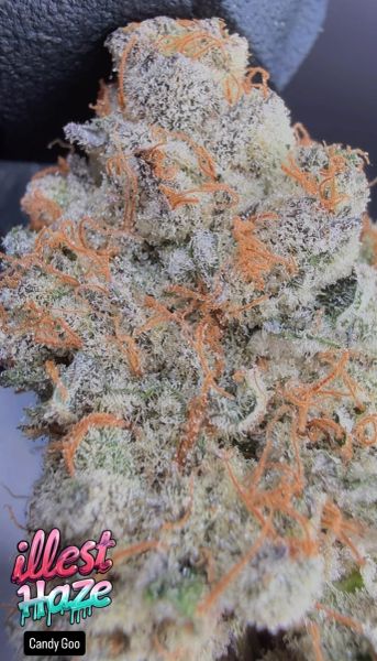 Candy Goo - Micro Batch Living Soil THCa Flower 7g — 1 lbs