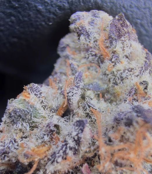 Double Stuffed Oreoz - Micro Batch Living Soil THCa Flower — 28g