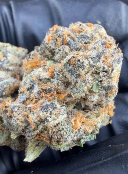 Frozen Alien- Micro Batch Living Soil THCa Flower — 1oz