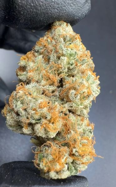 Caribbean Crack – Micro Batch Living Soil THCa Flower — 1oz