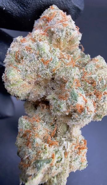 MAC2.1 – Micro Batch Living Soil THCa Flower — 14g