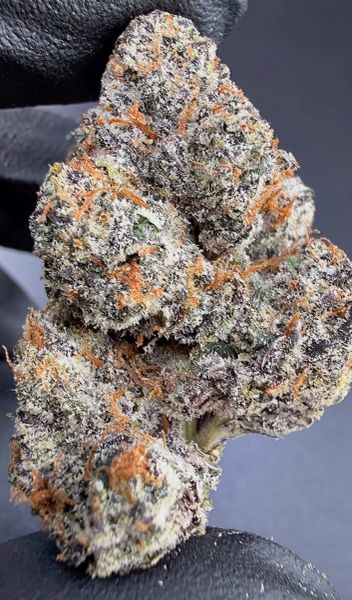 Biscotti Pops– Micro Batch Living Soil THCa Flower — 14g