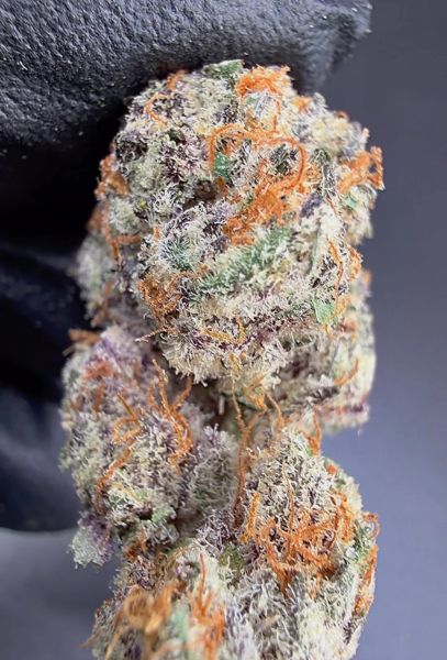 CandyPie – Micro Batch Living Soil THCa Flower — 14g