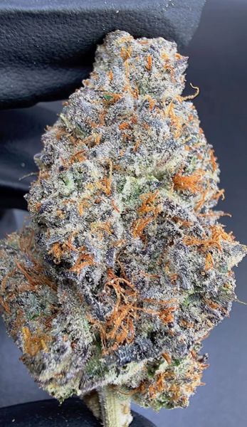SeaBreeze– Micro Batch Living Soil THCa Flower — 14g