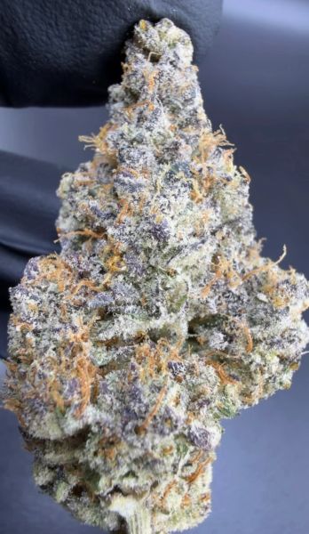 JAMZ #88 – Micro Batch Living Soil THCa Flower — 3.5g