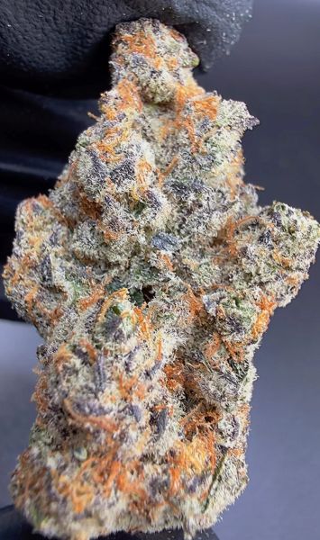 Blueberry Breeze – Micro Batch Living Soil THCa Flower — 14g