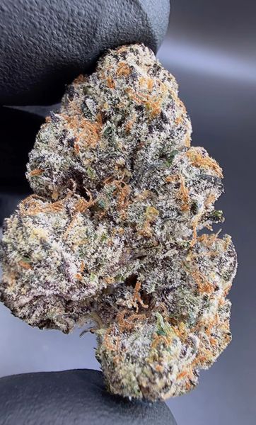 Black Cherry 41– Micro Batch Living Soil THCa Flower — 3.5g